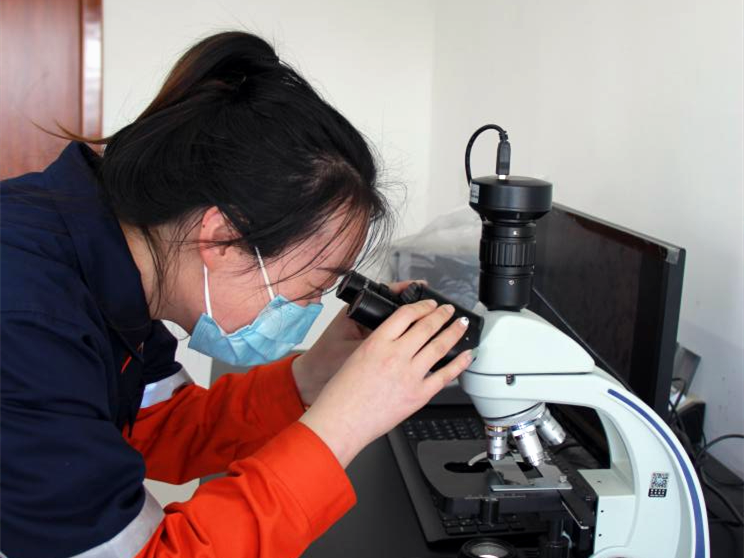 248ccÓÀÀû¼¯ÍÅ(ÖйúÓÎ)ÓÐÏÞ¹«Ë¾¹ÙÍø