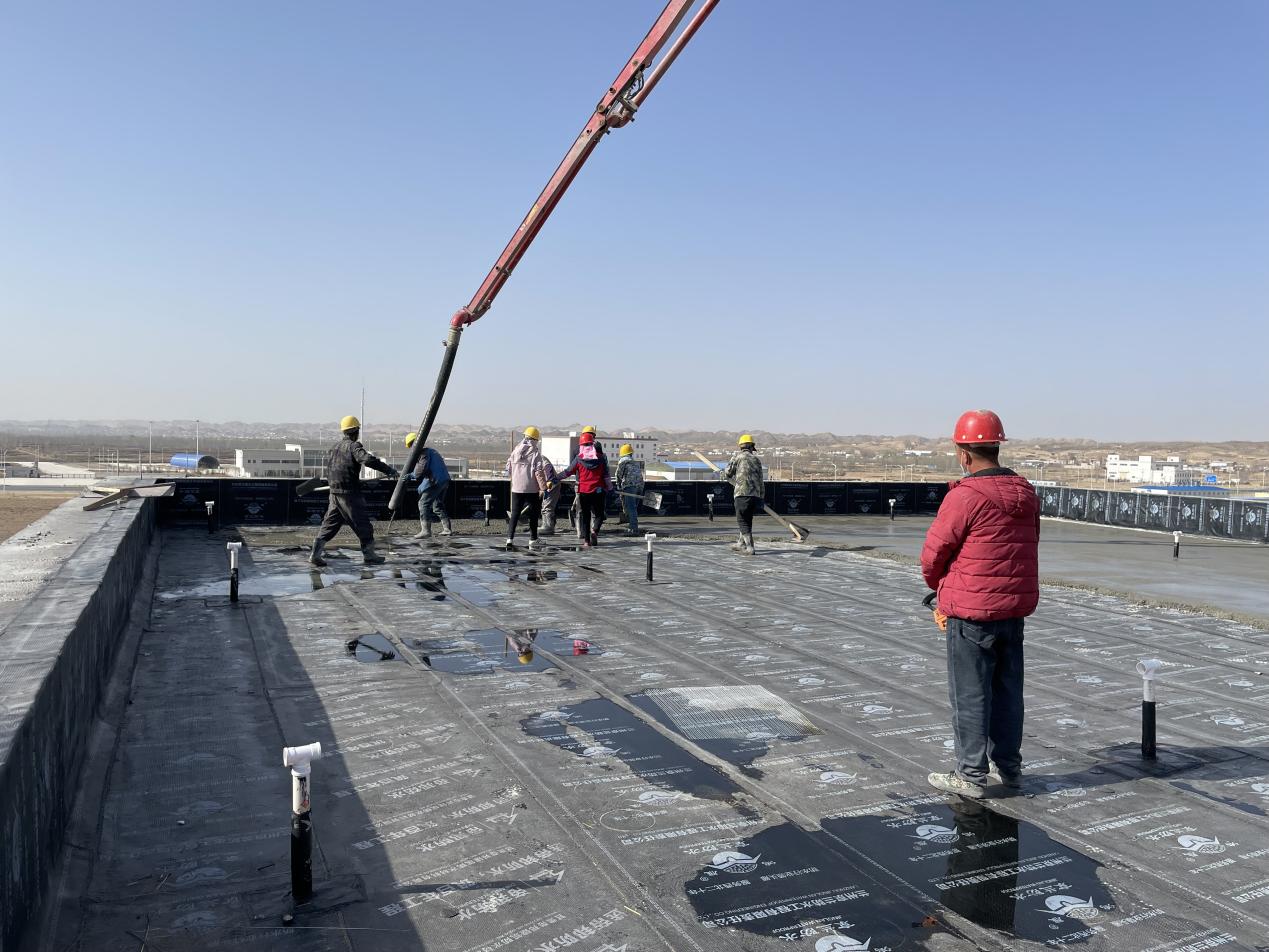 248cc��������(�й���)���޹�˾����