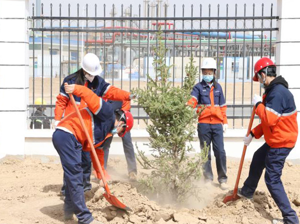 248cc��������(�й���)���޹�˾����