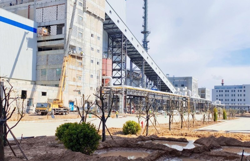 248cc��������(�й���)���޹�˾����