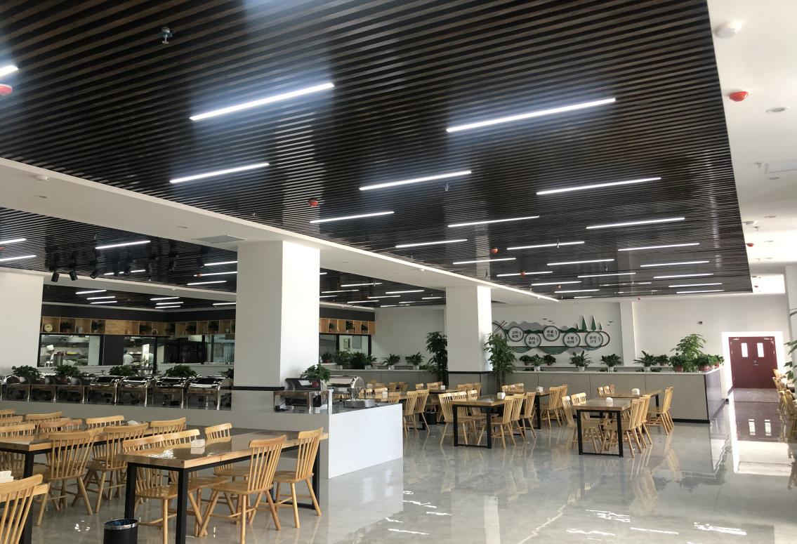 248cc��������(�й���)���޹�˾����