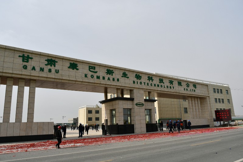 248cc��������(�й���)���޹�˾����