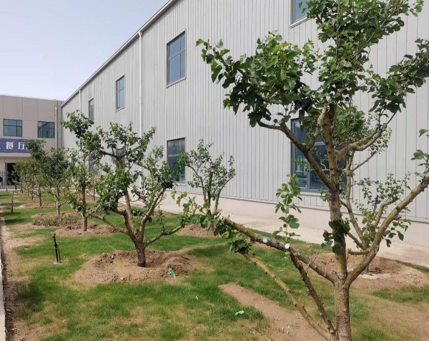 248cc��������(�й���)���޹�˾����