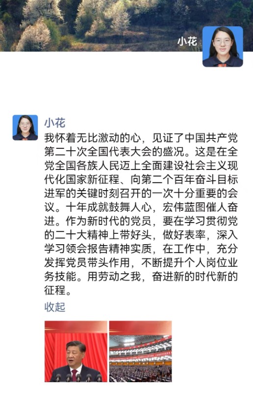 248cc��������(�й���)���޹�˾����