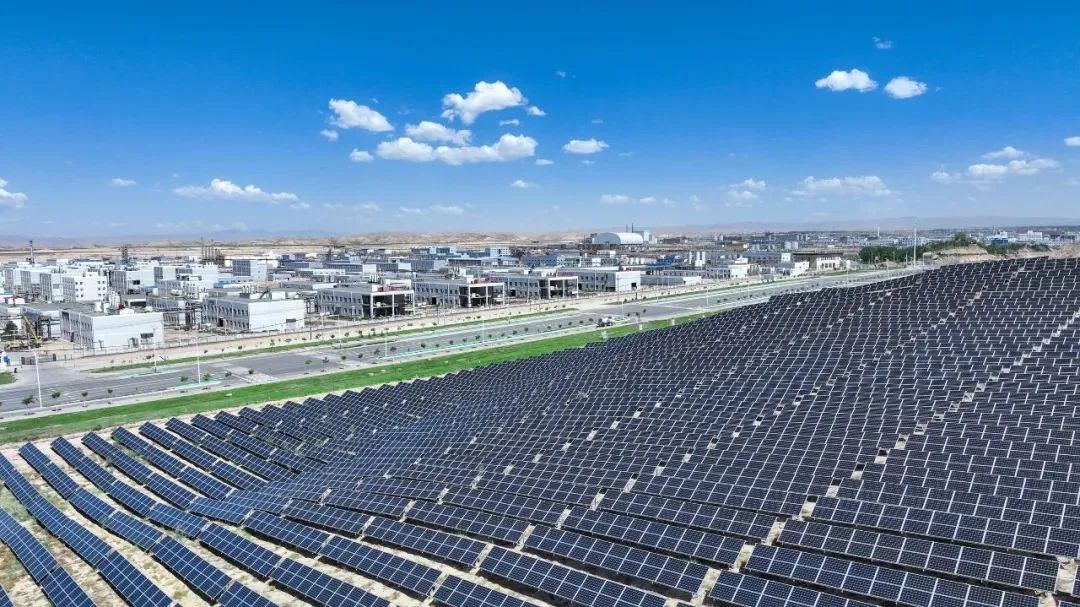 248cc��������(�й���)���޹�˾����