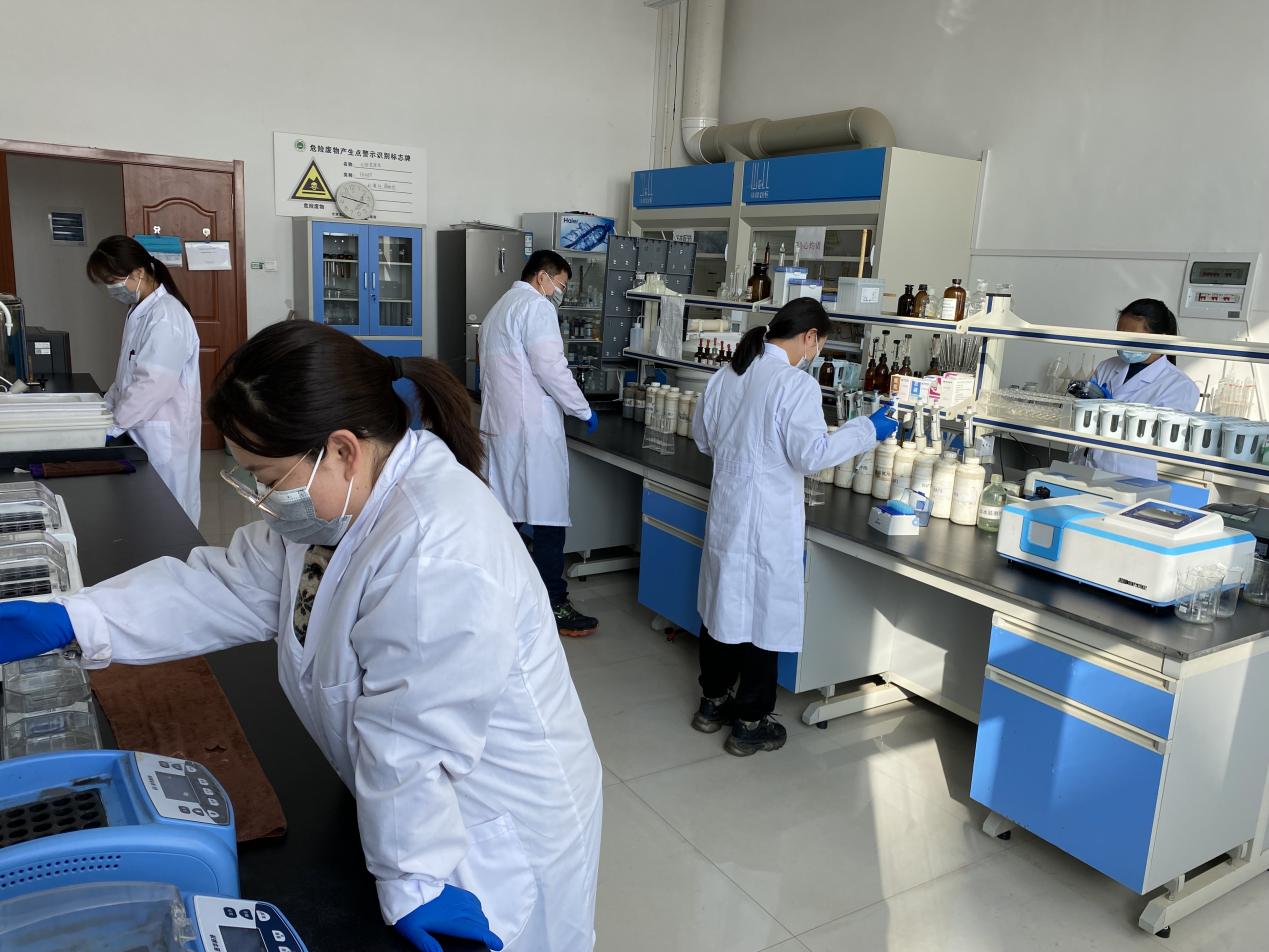 248cc��������(�й���)���޹�˾����