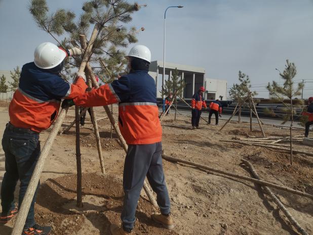 248cc��������(�й���)���޹�˾����