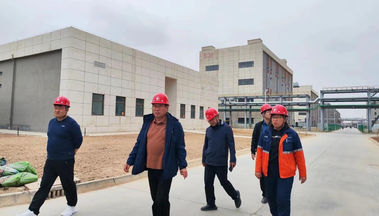 248cc��������(�й���)���޹�˾����