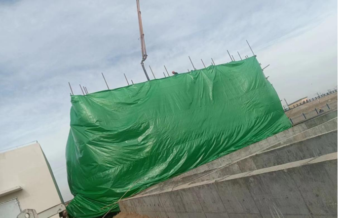 202312071701939370243056.png image.png