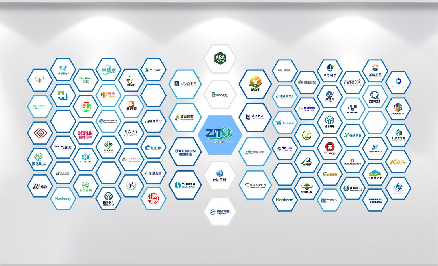 248cc��������(�й���)���޹�˾����