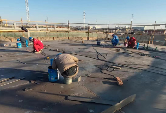 202403051709607122544133.png image.png