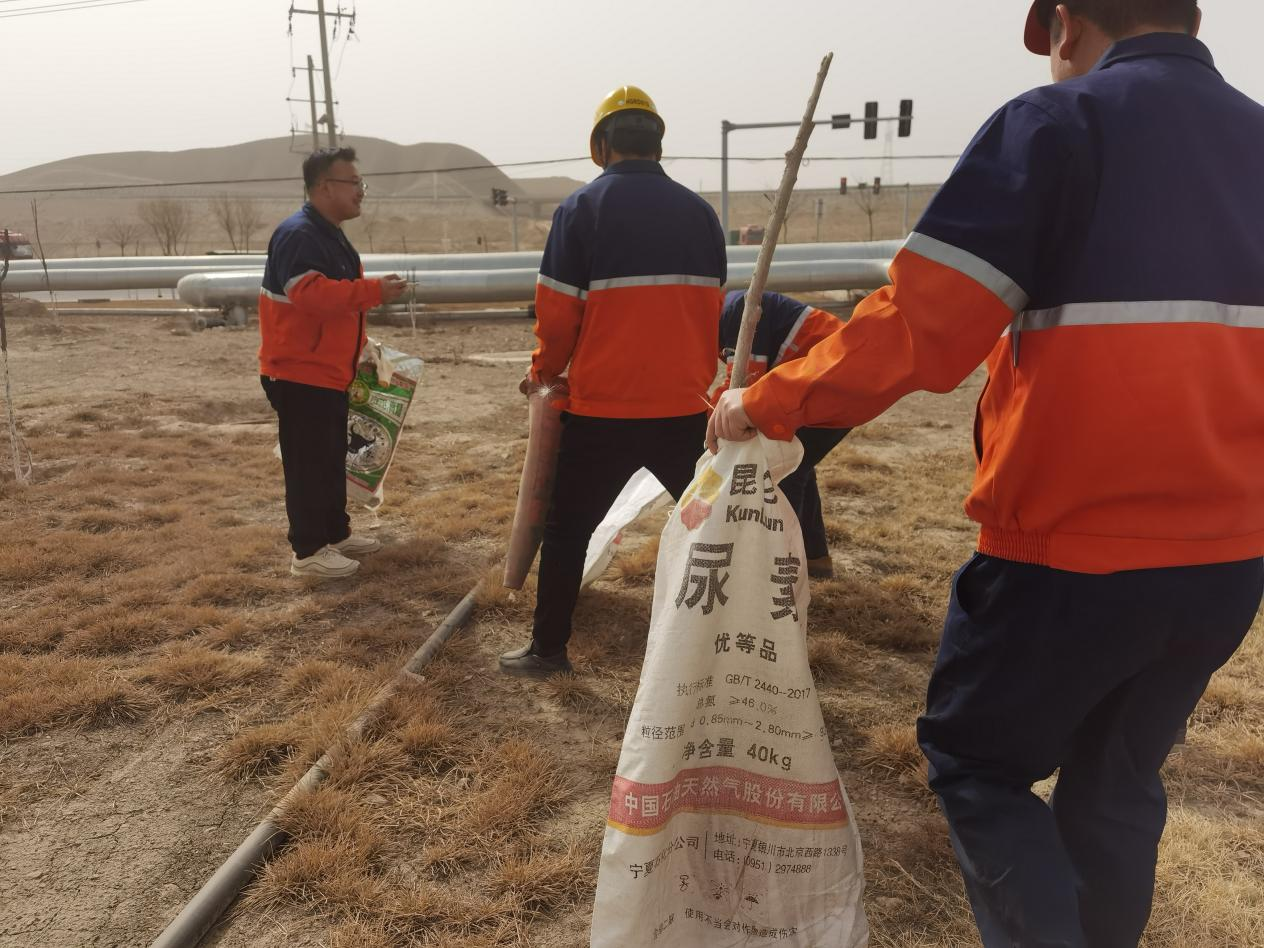 248cc��������(�й���)���޹�˾����